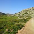 pLATEAU DU Cocione